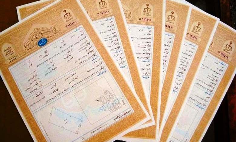 سند تک برگی