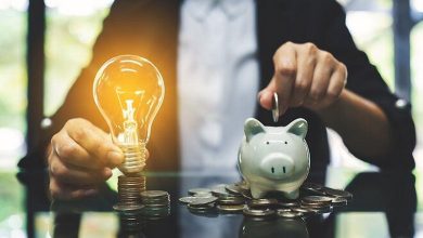 سرمایه گذار کلان