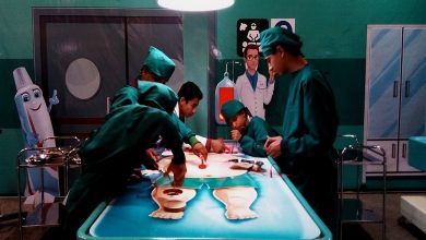 شهربازی معارفی